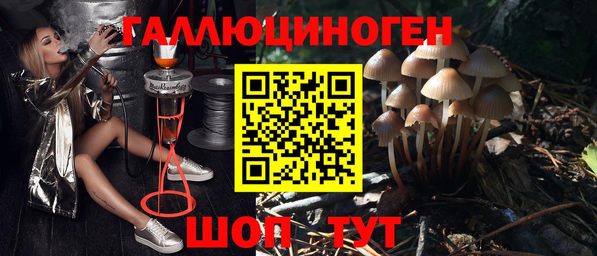 Псилоцибиновые грибы GOLDEN TEACHER  Вход с VPN  Аксай  Псилоцибиновые грибы MAGIC MUSHROOMS 